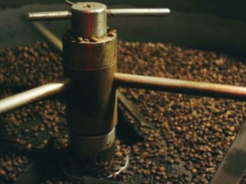 Bewusste Ernährung: Fair-Trade-Kaffee überzeugt nicht nur Vegetarier